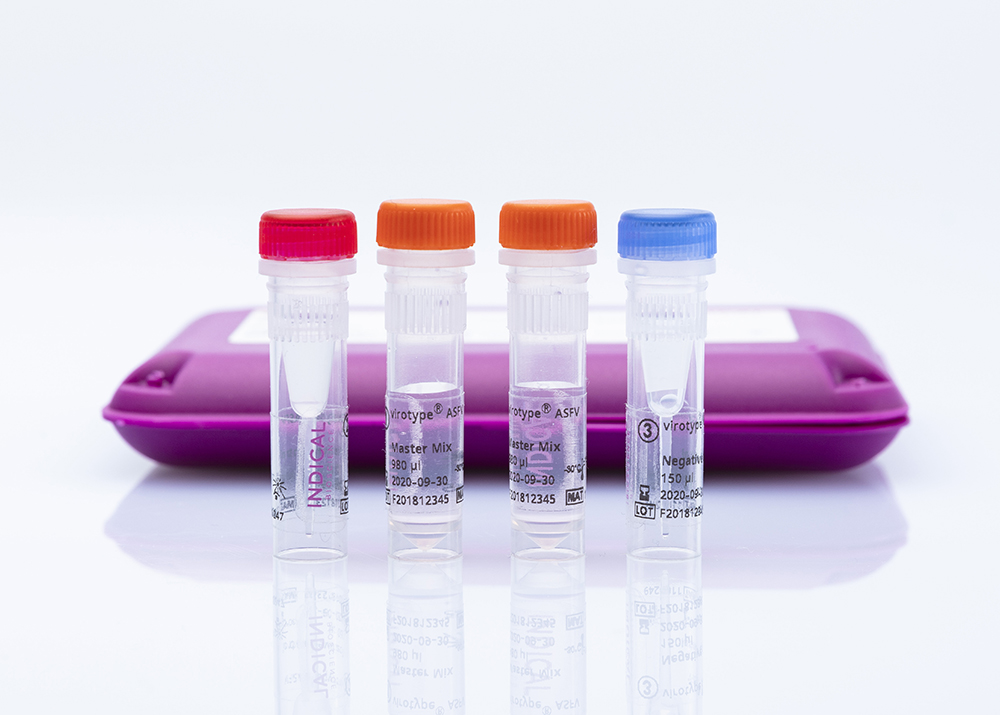 virotype ASFV PCR Kit