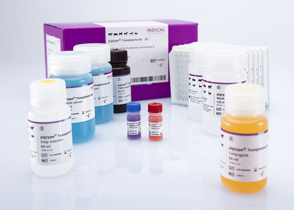 pigtype Toxoplasma Ab (5 ELISA plates)