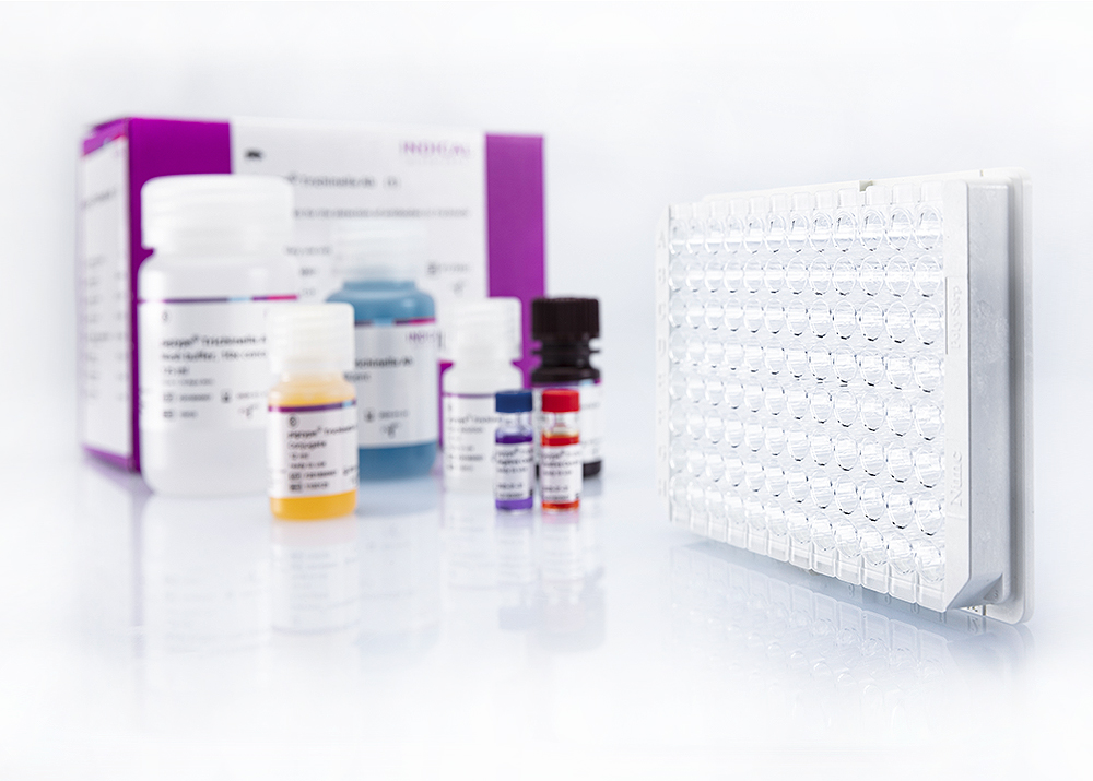pigtype Trichinella Ab (1 ELISA plate)