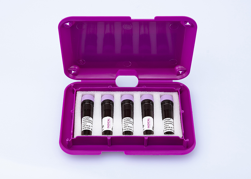 virotype PEDV/TGEV/PDCoV Primers/Probes