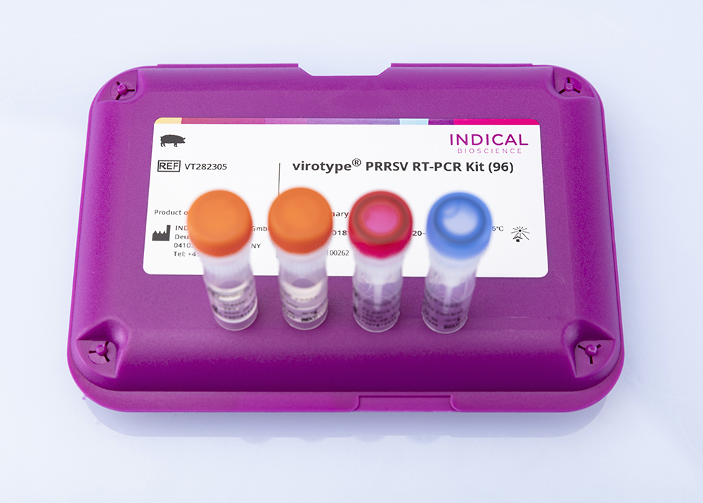 virotype PRRSV RT-PCR Kit