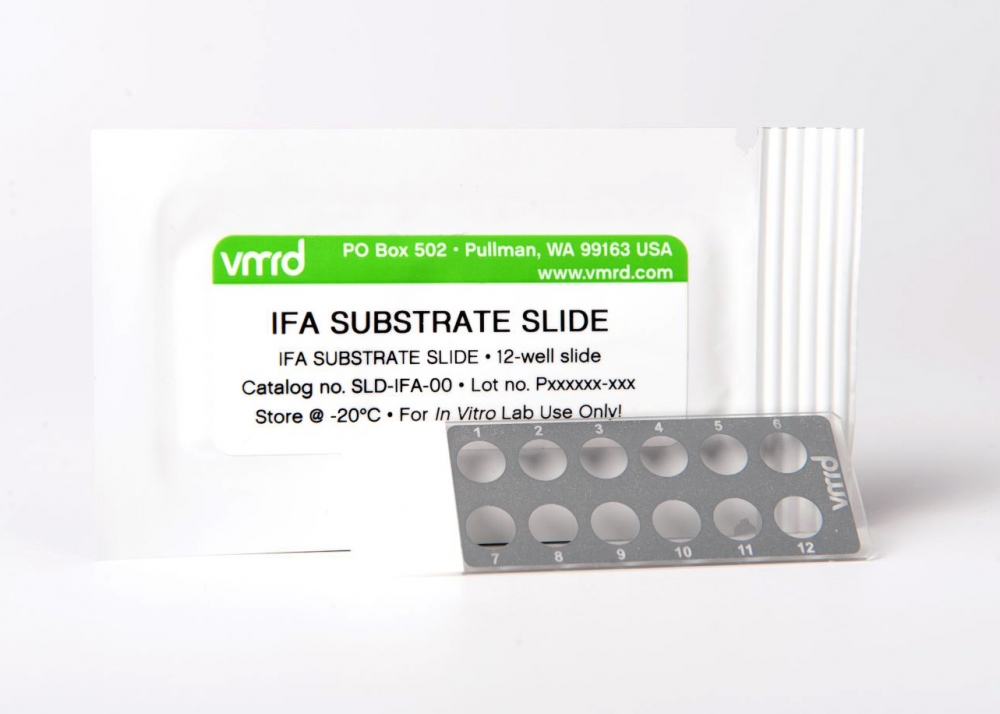 Bovine Respiratory Syncytial Virus (BRSV) FA Substrate Slide (12-well slide) 