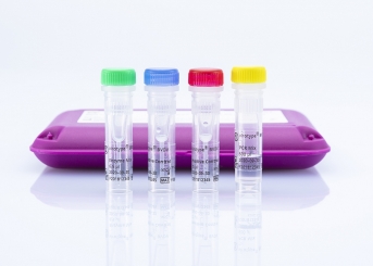 virotype BVDV RT-PCR Kit