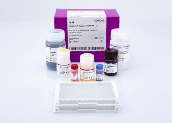 flocktype Mycoplasma Ms Ab (2 ELISA plates)