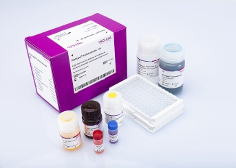 flocktype Salmonella Ab (2 ELISA plates)