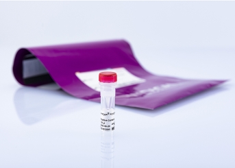 virotype PCV2/PCV3 Positive Control