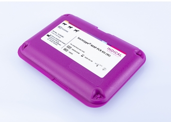 bactotype MAP PCR Kit 