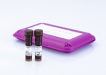 virotype Mix +IC(JOE)-DNA (96 reactions)