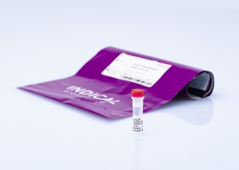 virotype PEDV/TGEV/PDCoV Positive Control
