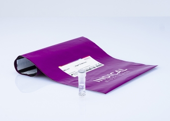 intype IC-DNA (1ml)