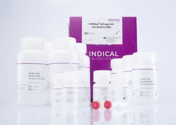 IndiMag Pathogen Kit w/o plastics (384 reactions) 