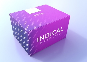 cador T. equigenitalis PCR Kit (24 reactions)